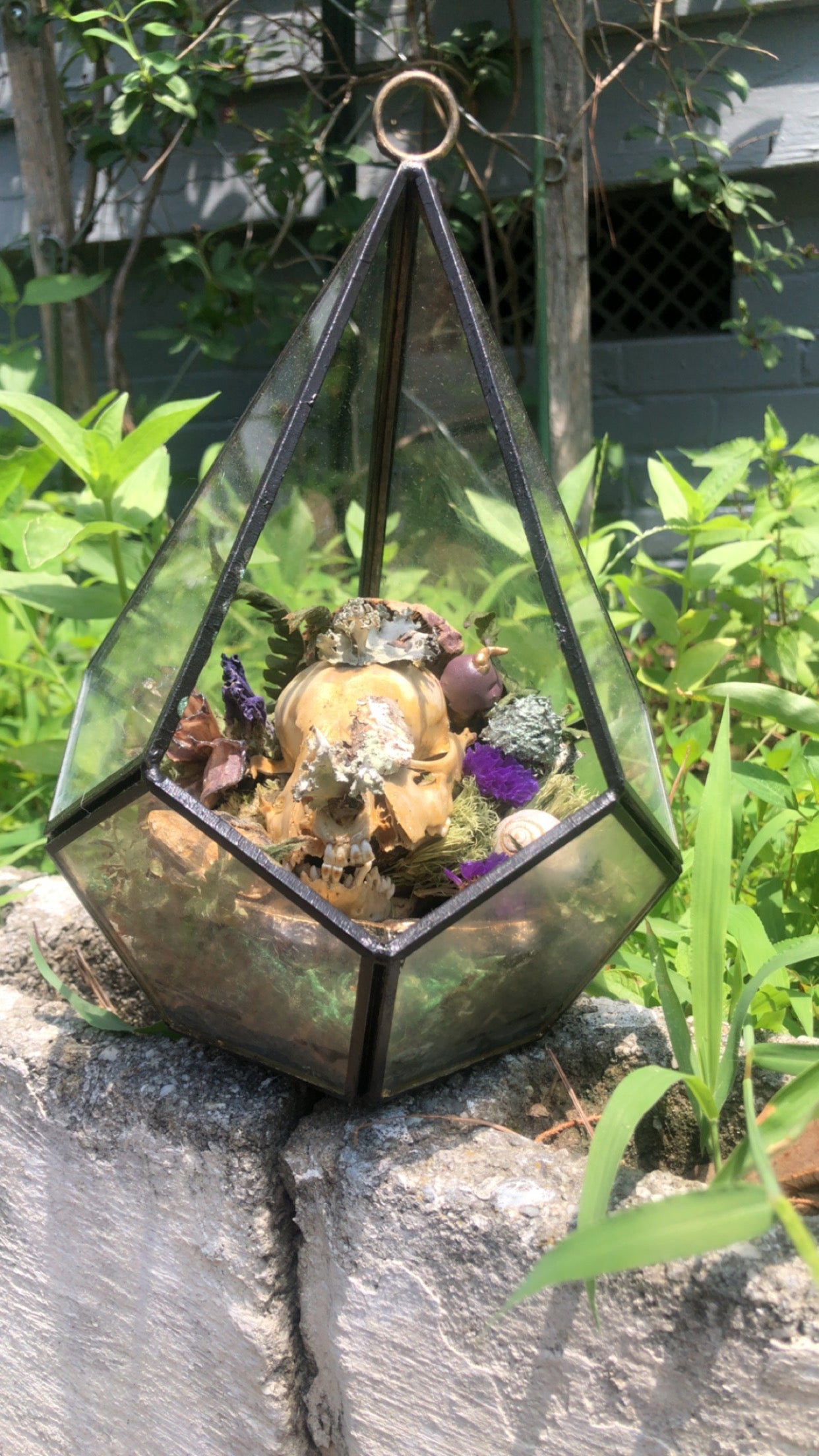 Forest Skull