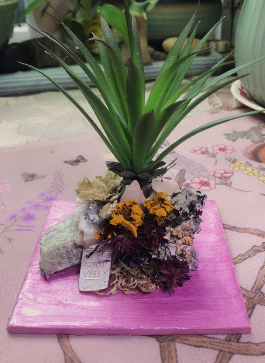 Vertebrae Airplant Holder