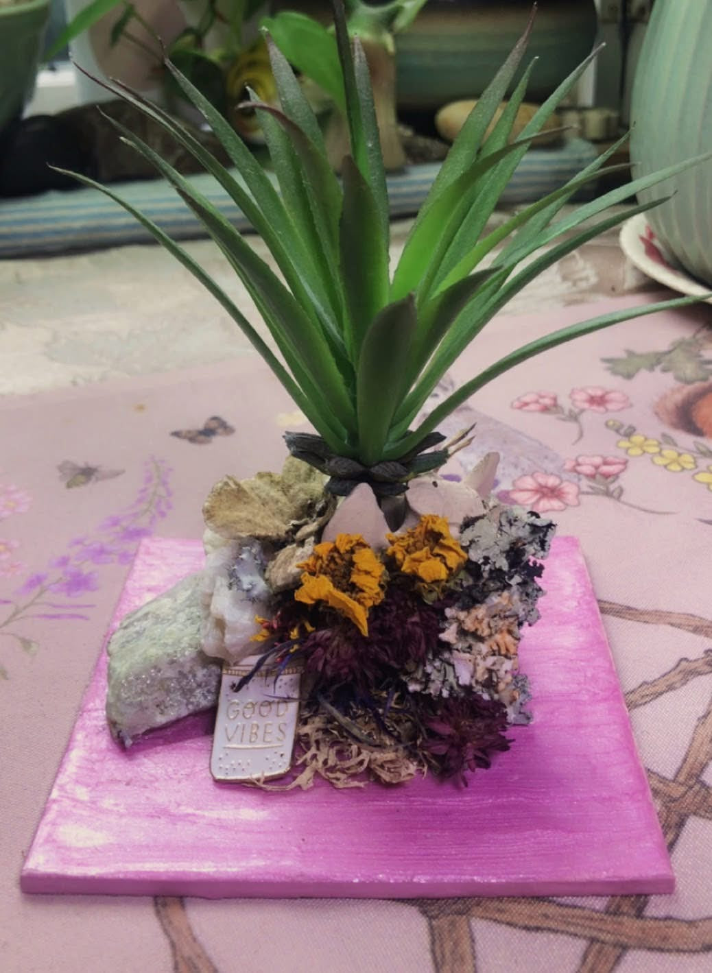 Vertebrae Airplant Holder