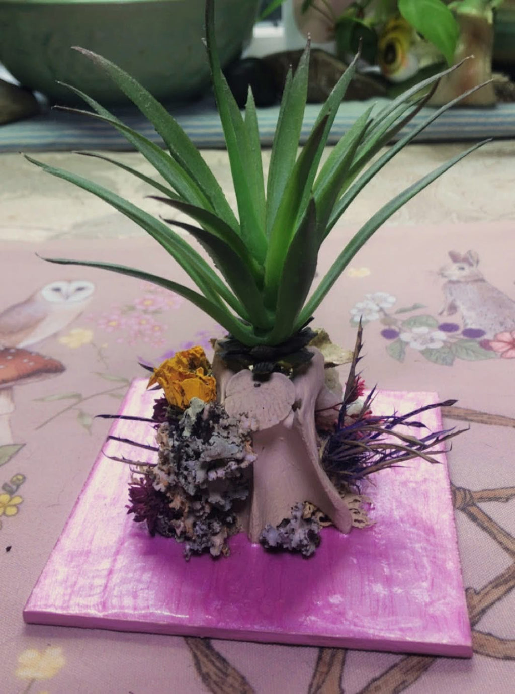 Vertebrae Airplant Holder