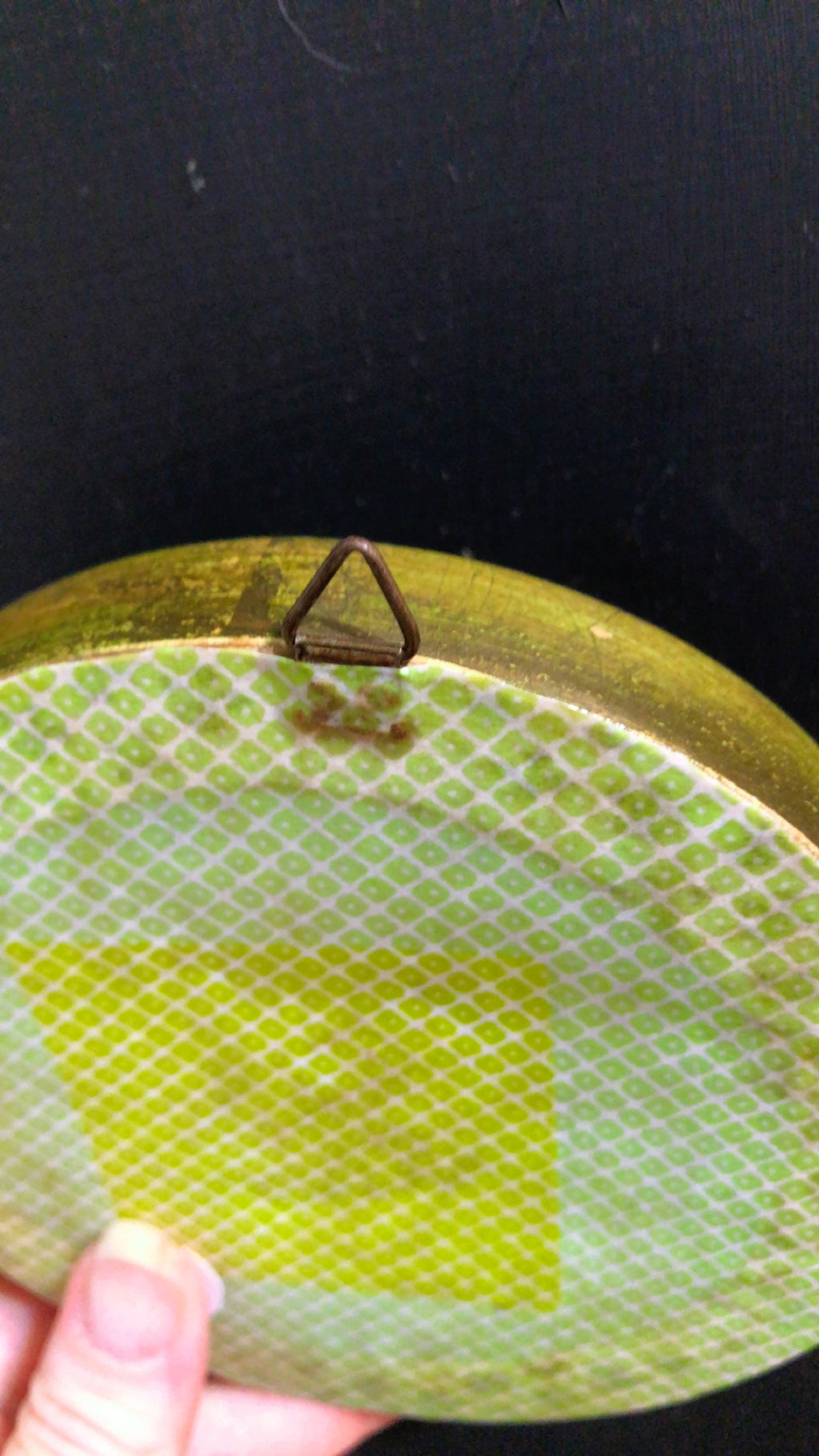 Small Round Cicada Frame