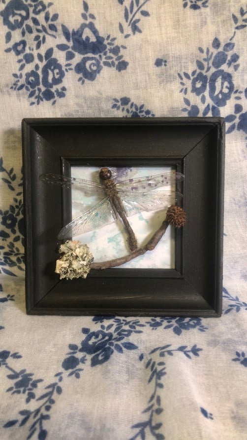 Dragonfly Frame