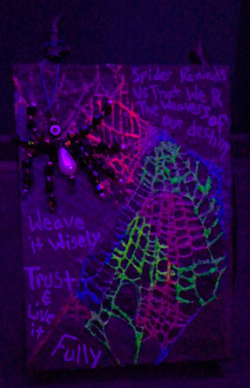 BlackLight Preserved Spider Web