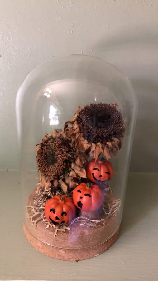Sunflower Pumpkins