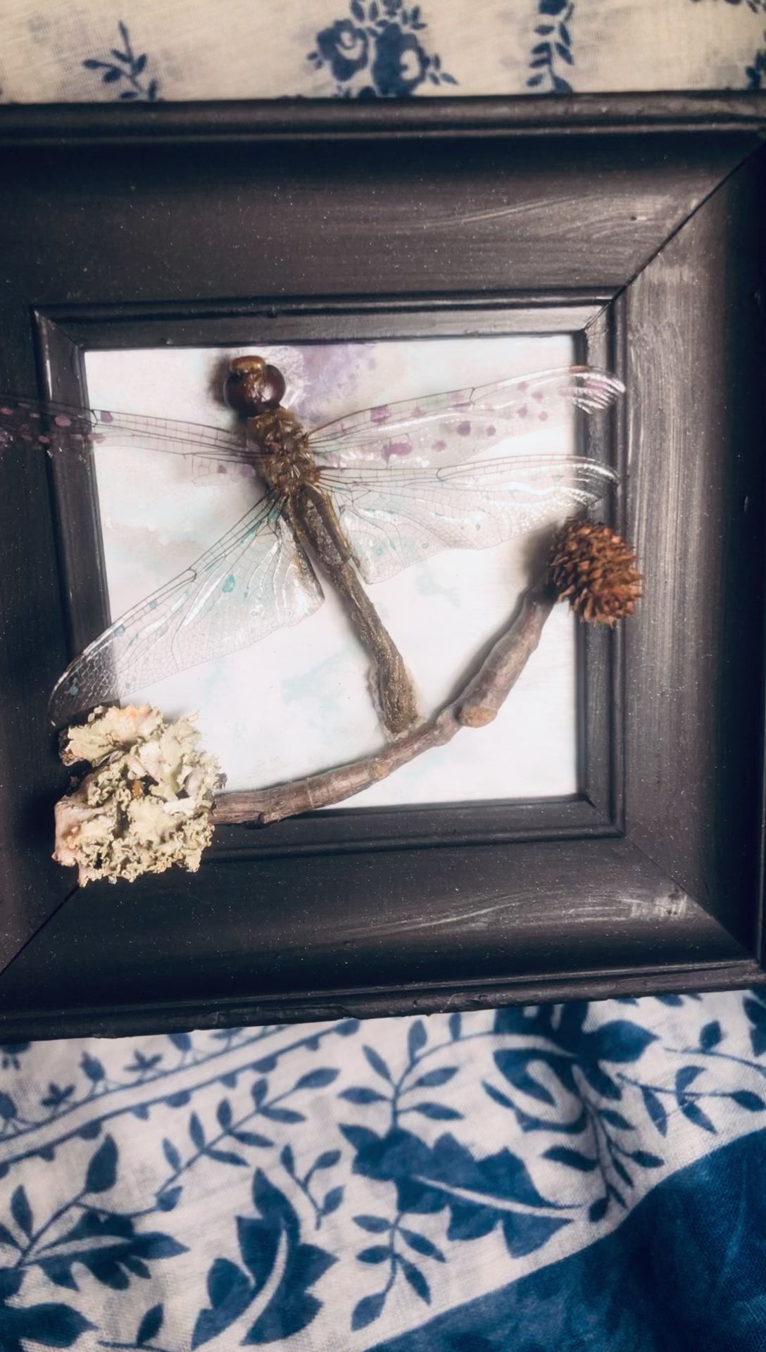 Dragonfly Frame