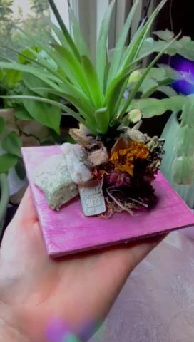 Vertebrae Airplant Holder