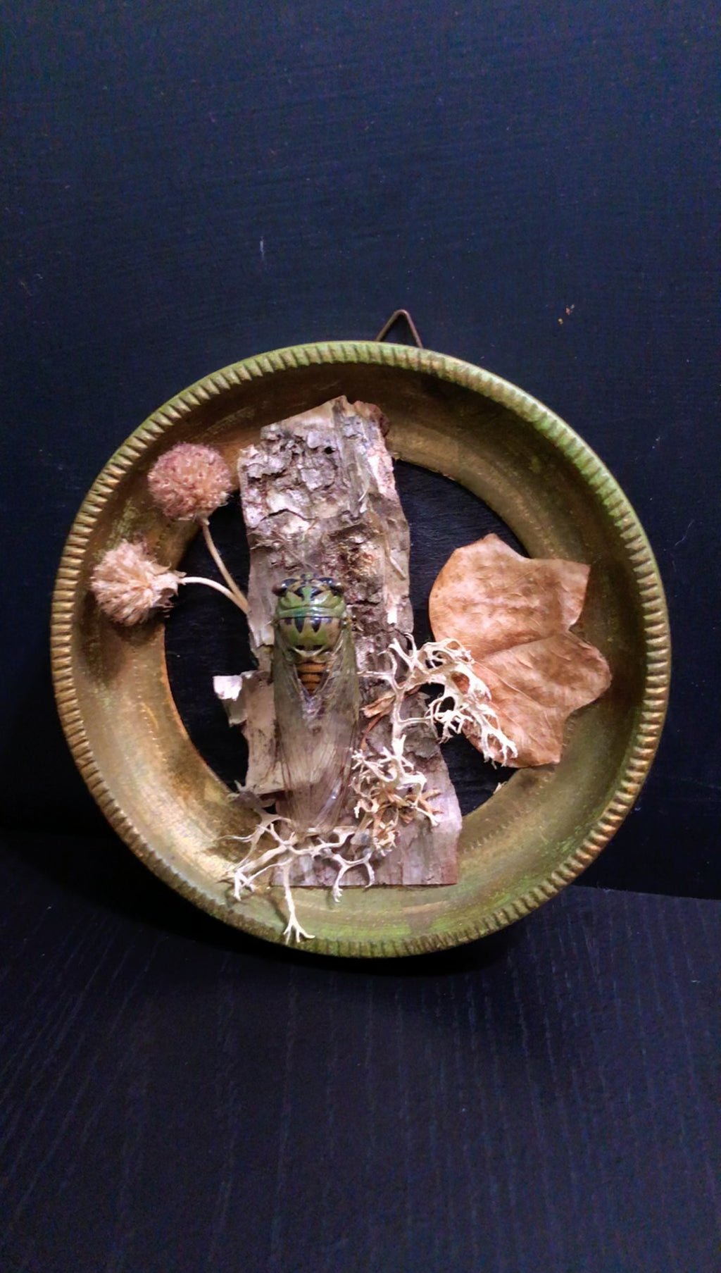 Small Round Cicada Frame