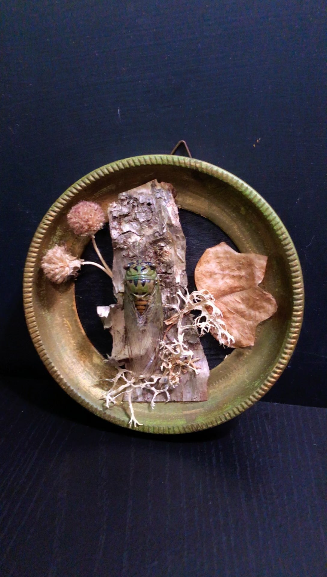 Small Round Cicada Frame