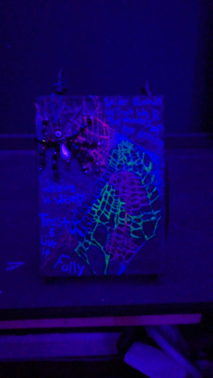 BlackLight Preserved Spider Web