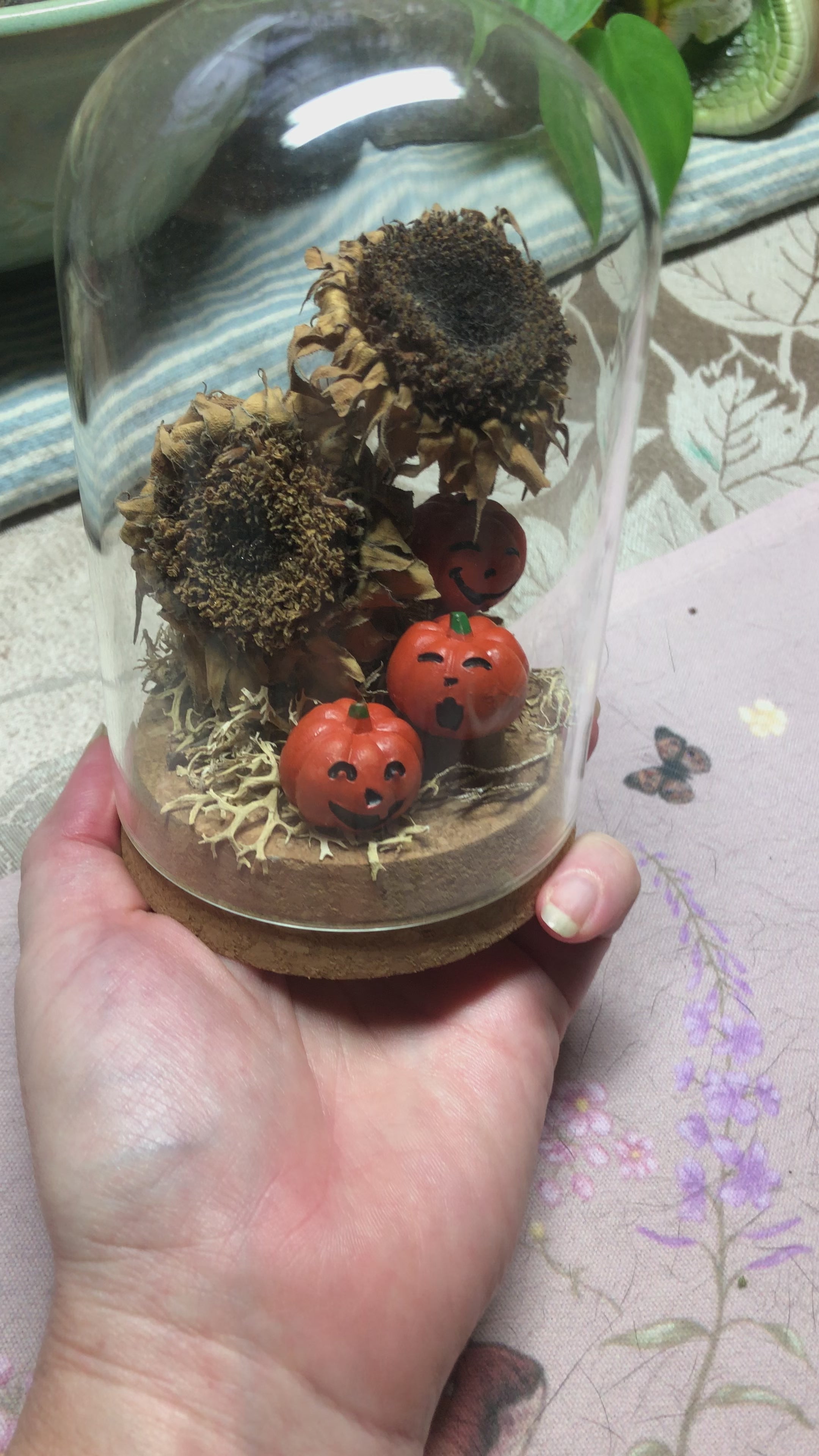Sunflower Pumpkins