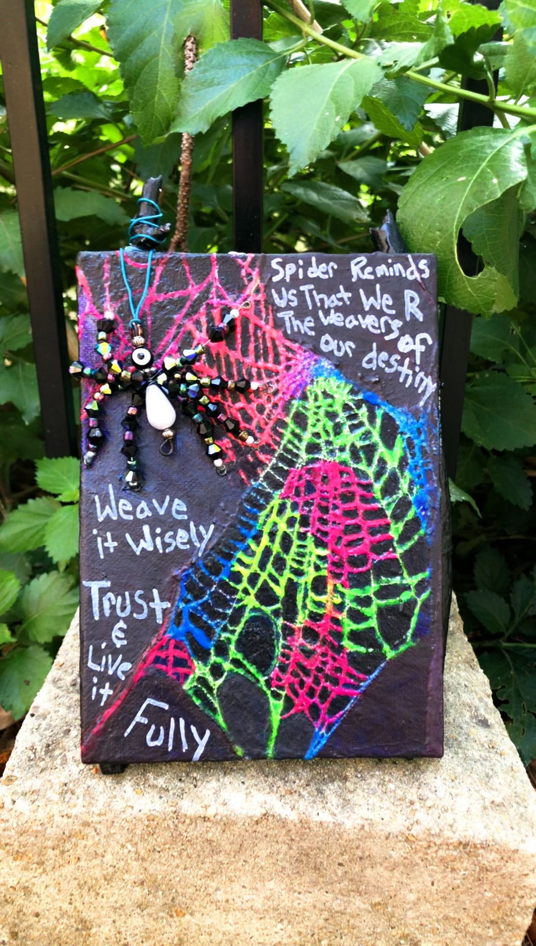 BlackLight Preserved Spider Web