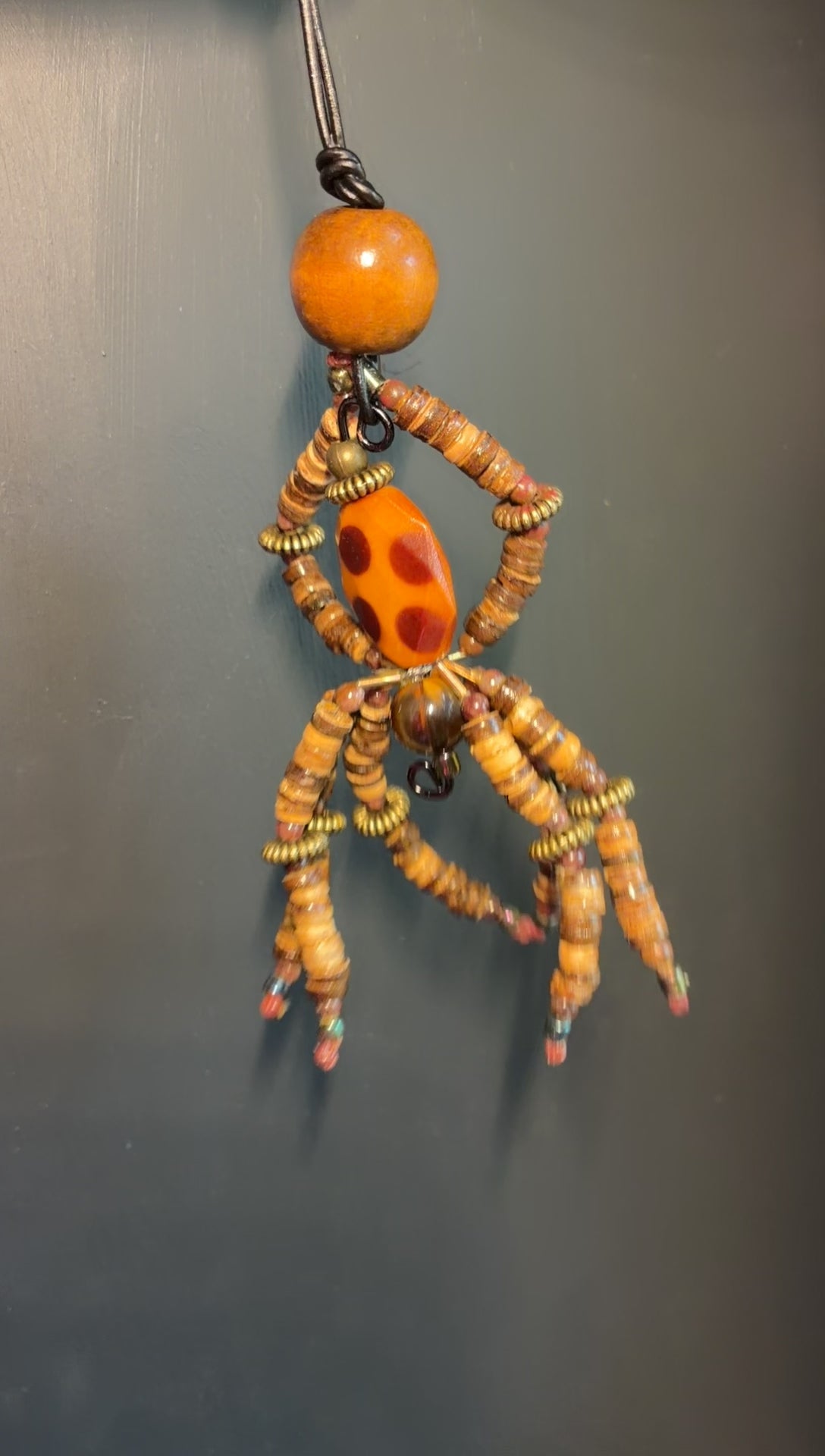Spotted Wooden Spider